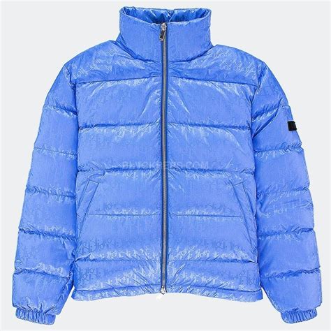 blue dior down jacket|blue Dior bathing suit.